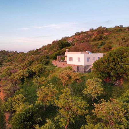 Cycladic Villa With Sea View! Ioulis Exterior foto